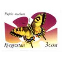 Фауна Кыргызстана "Бабочки"  Papilio machaon.