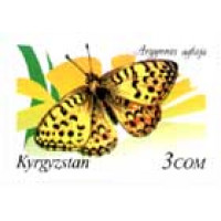 Фауна Кыргызстана "Бабочки"  Argynnis aglaja.