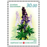 Флора Кыргызстана. Лекарственные растения Аконит белоустый (Aconitum leucostomum)